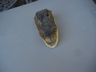 Alligator Head With Teeth  Taxidermy  Excellent Condition  Decoration   Souvenir