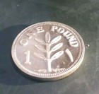 Mint  One Pound  Palestine Silver  999 Coin  13 G    2 2 2022 Only 250 Mintage 