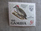 Gambia  Scott  185  Mnh