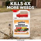 Spectracide Weed And Grass Killer 128 Oz Sprayer Ready-to-use 1 Gallon