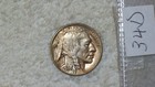 1934 D Buffalo Nickel Choice