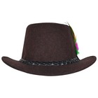Oktoberfest Costume Men Hat Bavarian Wool Hat Brown German Bavarian  Acessories