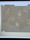 Kiss      rare 1970s Gene Simmons Heat Transfer Iron On 9   x6    Aucoin Mgmt See Pics