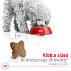 Royal Canin Size Health Nutrition Small Breed Adult Dry Dog Food Cwy