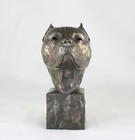 Pit Bull American Staffy Limited Edition Bronze Bust Statue Sculpture Ornament