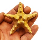 Set Of 3 Small Knobby Tan brown Starfish 4-5  Natural Beach Wedding Decor Crafts