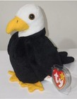 Ty Beanie Baby  Baldy The Bald Eagle  6 Inch  New Mwmts Plush Stuffed Animal Toy