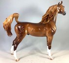 Peter Stone  cryptic Clown  Dapple Chestnut Arabian