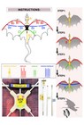 Fiery Dragon 54  Huge Kite For Kids And Adults Easy To Fly Single Line String   