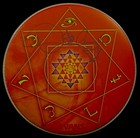 Tool Danny Carey Signed Autographed 14  Evans Orange Drumhead Not Poster Vinyl