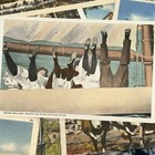Lot Of 20 Plus Unused Album Vintage Newengland Post Cards 