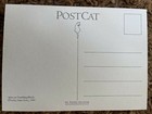 Unused Vintage Lesley Anne Ivory Cat Postcard  Spiro On Tumbling Blocks 6 5x4 5 