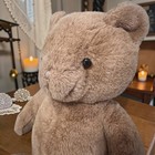 Haunted Teddy Bear Renata Spirit Vessel Emotional Strength Comfort Guardian Doll