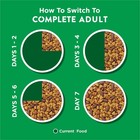 Purina Dog Chow Complete  Dry Dog Food For Adult Dogs High Protein  Real Chicken