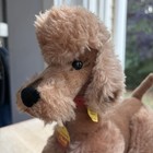 Vintage Steiff Cosy Snobby Poodle Dog 5020 28 Brown Plush Original Id Button Ear