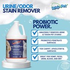 Pet Odor Eliminator Stain Remover Enzymatic Cleaner For Dog Urine   Carpet Odor