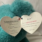 Ty Beanie Buddies Erin Bear 1998     Plush Green Bear     Collectible Toy