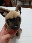 Ganz Webkinz Signature African Wild Dog  Plush Retired  no Code 