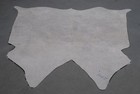 100  New Cowhide Rugs Area Cow Skin Leather  43 x 42   Cow Hide Sa-2001
