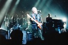 Vintage Paul Mccartney Photograph 8x10 Concert Guitar Wings