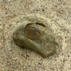 Authentic Late Roman Early Byzantine Bronze Ring Carved 400-600ad  Wearable Us 6
