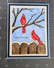 Cardinal Seasons Greetings Christmas Card Kit Made With Some Stampin Up 