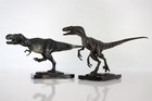 Dino Dream Anniversary Model Tyrannosaurus Vs Velociraptor Figure Set T-rex