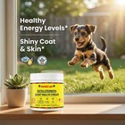 Extra Strength Joint Health Chews  Joint Health Chews  60 Soft Chews  1pcs 