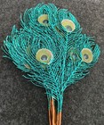 8 Wire Peacock Feathers Teal Blue Green 14 5    Glitter