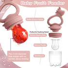 Baby Fruit Food Feeder Breastmilk Popsicle Molds For Teething Relief  Introduce 