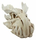 Large Dragon Fossil Skull Remains Legendary Beast Skeleton Head Figurine 14 5 l
