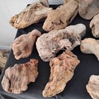 Lot Of Driftwood  13 Pieces  Unique Shapes For Diy Crafts  dc6