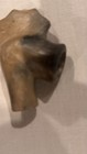 Catawba Indian Hand-built Clay Chicken Head Pipe Historic Pottery
