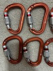 Climbing - Petzl dmmcarabiners  Dmm Nuts  And Bd Infinity Cord