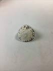 South African Turban Seashell Turbo Decorative Snail Shell - 4   