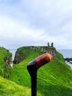 Irish Blackthorn Walking Stick   Cane Irish   Wood Hiking Cane   Shillelagh