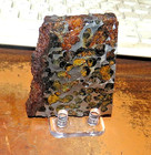 104 Gm Sericho Pallasite Meteorite Slice From Kenya Stand Olivine Jal