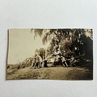 Antique Snapshot Photograph Young Man Posing With Broken Tree Storm Lightening 