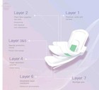 Angel Moon Dynamic Set Of 4day Packs 4 Night Packs 3 Pantyliner Packs