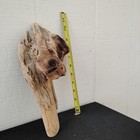 Odd Looking One Eyed Pine Knot Wood Working Or Decor Piece