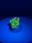 Rare Red Willemite  Calcite    Franklinite Fluorescent Mineral Specimen W  Stand
