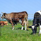 Highly Visible Electric Netting Fence Kit Sheep Fencing 42 h X 164 l Portable