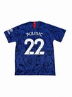 Nike  22 Christian Pulisic Chelsea Home Jersey 2019 20 Standard Fit Sz L  - Nwt