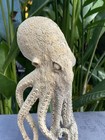 Unique Octopus Carved Wooden Statue Carving Carved Octopus Skull 