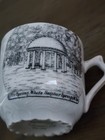 Antique Porcelain Cup Souvenir The Spring White Sulphur Springs  West Virginia 
