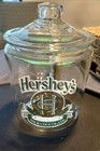 Vintage 10  Hershey s Milk Chocolate Counter Display Jar W lid Gold   Green Logo