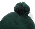 2013 Michael Mike Nesmith Nez Monkees Licensed Green Hat Videoranch Rare New