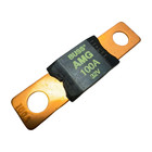  pack Of 2  Bussmann Amg-100 Fuse  100a  32v   free Shipping  