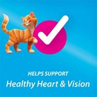 Purina Kit   Kaboodleoriginal  Indoor Dry Cat Food  Chicken liver turkey oceanfi