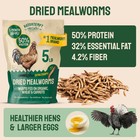 Hatortempt 5 Lbs Non-gmo Dried Mealworms-high-protein Mealworms For Wild Bird ch